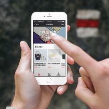 天津市龍華新技術(shù)開發(fā)公司 玩具、電子產(chǎn)品與軟件的互聯(lián)網(wǎng)銷售新勢力