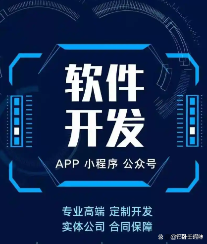個性化功能需求，專業(yè)定制軟件開發(fā)服務(wù)如何全面滿足？